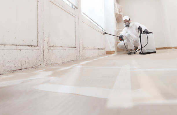 24/7 Emergency Commercial Mold Remediation experts in Jacksonville, OR